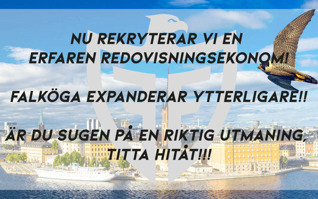 Redovisningskonsult och intresserad av nya utmaningar? Falköga expanderar!