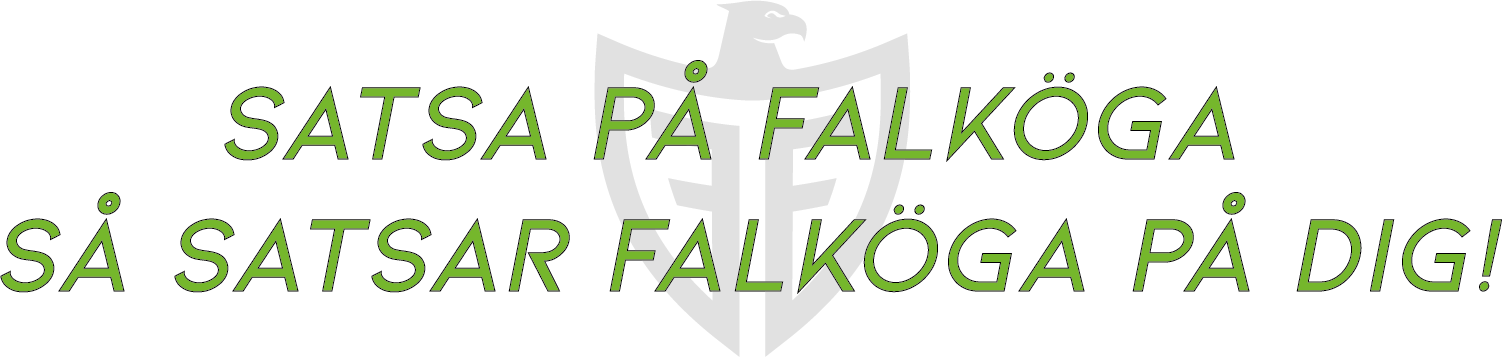 Satsa på Falköga så satsar Falköga på dig - Falköga företagsrådgivning, revision- och redovisningsbyrå